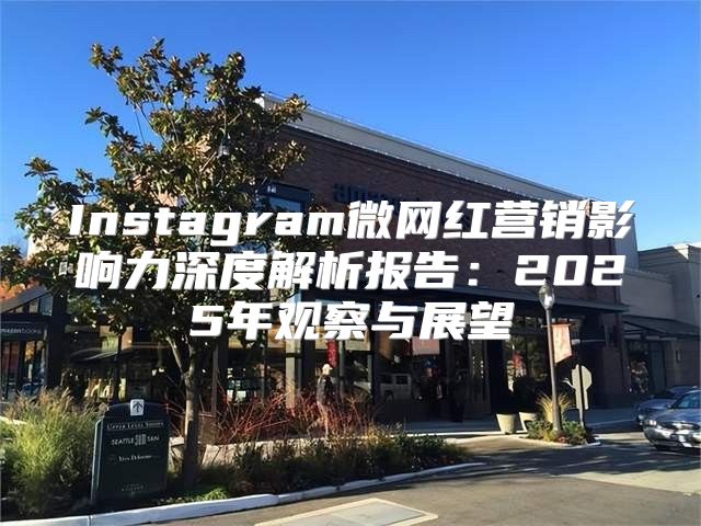 Instagram微网红营销影响力深度解析报告：2025年观察与展望
