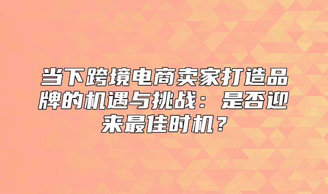 当下跨境电商卖家打造品牌的机遇与挑战：是否迎来最佳时机？