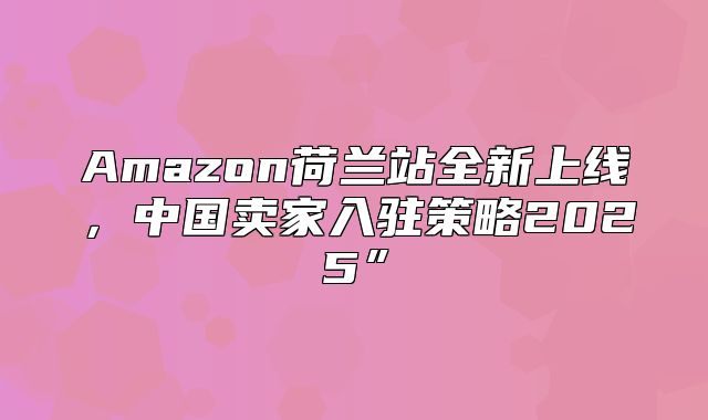 Amazon荷兰站全新上线，中国卖家入驻策略2025”