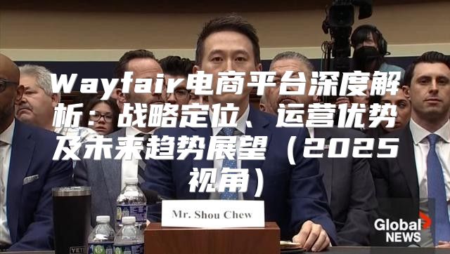 Wayfair电商平台深度解析：战略定位、运营优势及未来趋势展望2025视角