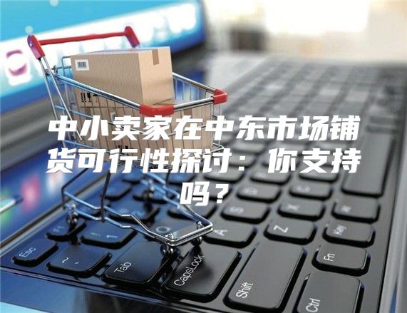 中小卖家在中东市场铺货可行性探讨：你支持吗？