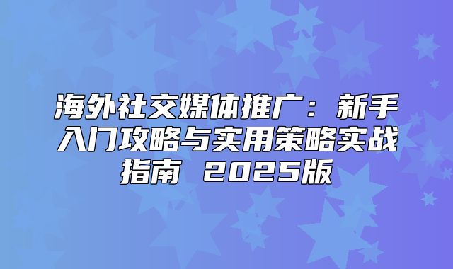 海外社交媒体推广：新手入门攻略与实用策略实战指南 2025版
