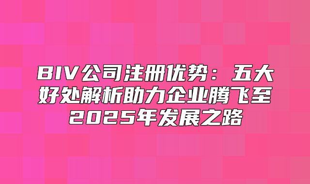 BIV公司注册优势：五大好处解析助力企业腾飞至2025年发展之路