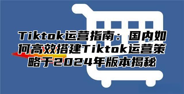 Tiktok运营指南：国内如何高效搭建Tiktok运营策略于2025年版本揭秘