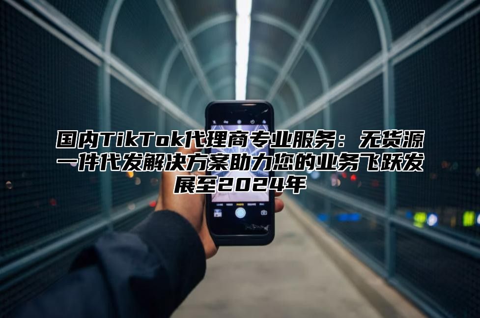 国内TikTok代理商专业服务：无货源一件代发解决方案助力您的业务飞跃发展至2025年