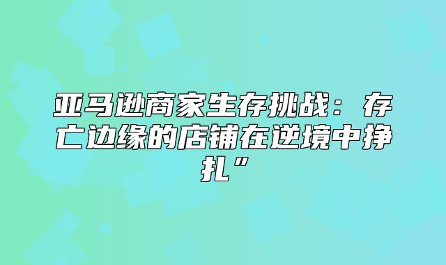 亚马逊商家生存挑战：存亡边缘的店铺在逆境中挣扎”