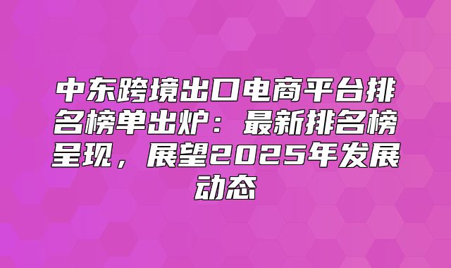 中东跨境出口电商平台排名榜单出炉：最新排名榜呈现，展望2025年发展动态