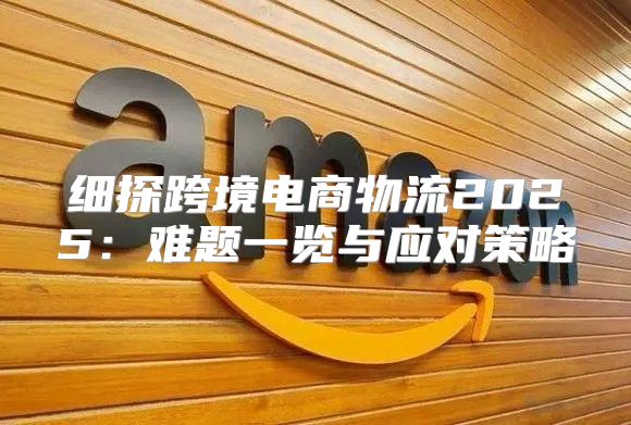细探跨境电商物流2025难题一览与应对策略