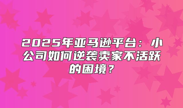 2025年亚马逊平台：小公司如何逆袭卖家不活跃的困境？