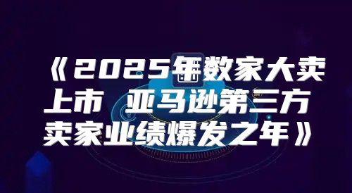 2025年数家大卖上市亚马逊第三方卖家业绩爆发之年