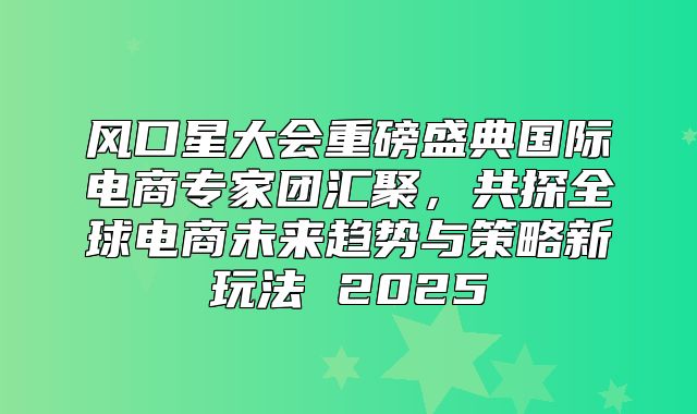 风口星大会重磅盛典国际电商专家团汇聚，共探全球电商未来趋势与策略新玩法 2025