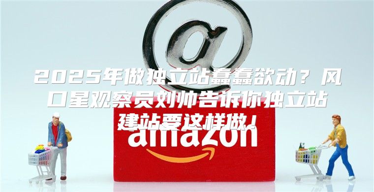 2025年做独立站蠢蠢欲动？风口星观察员刘帅告诉你独立站建站要这样做！