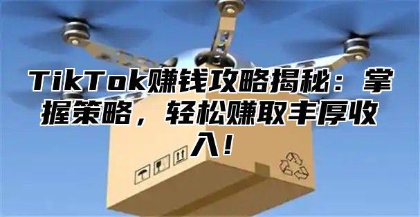 TikTok赚钱攻略揭秘：掌握策略，轻松赚取丰厚收入！