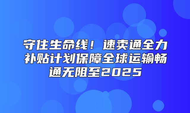 守住生命线！速卖通全力补贴计划保障全球运输畅通无阻至2025
