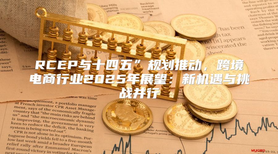 RCEP与十四五”规划推动，跨境电商行业2025年展望：新机遇与挑战并行
