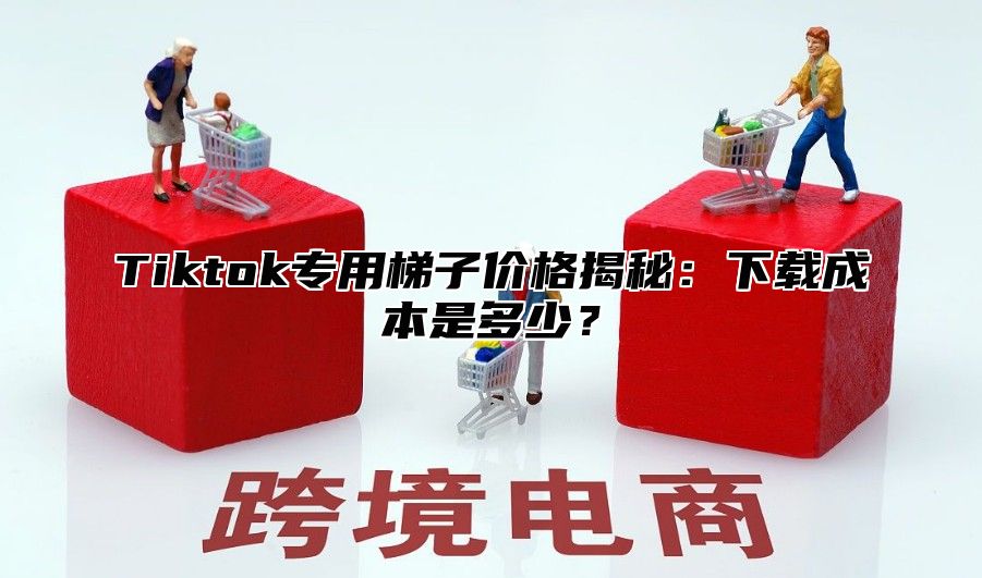 Tiktok专用梯子价格揭秘：下载成本是多少？