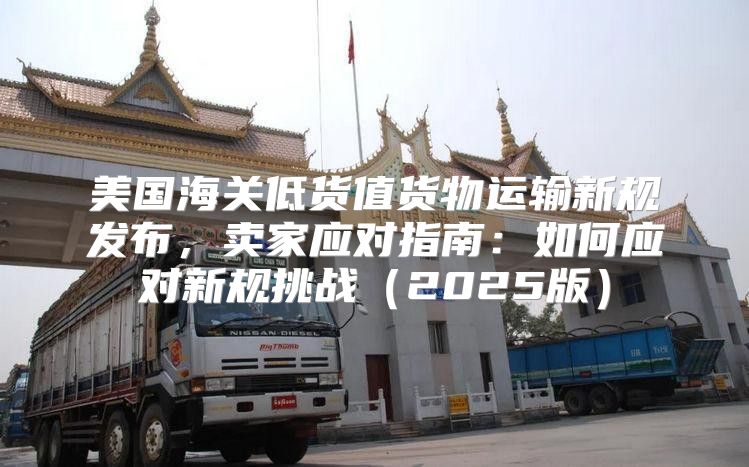 美国海关低货值货物运输新规发布，卖家应对指南：如何应对新规挑战2025版