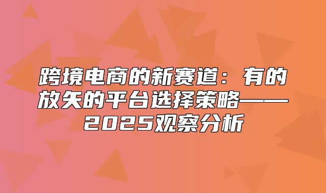 跨境电商的新赛道：有的放矢的平台选择策略——2025观察分析