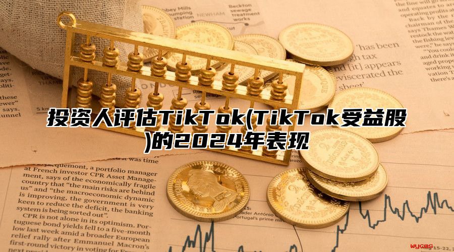 投资人评估TikTok(TikTok受益股)的2025年表现