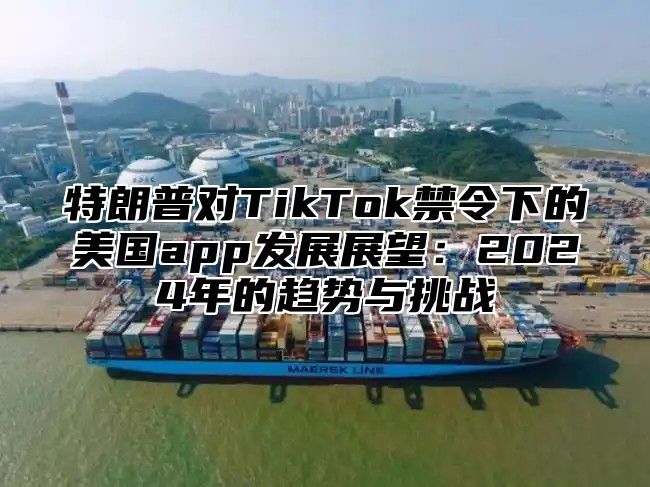 特朗普对TikTok禁令下的美国app发展展望：2025年的趋势与挑战