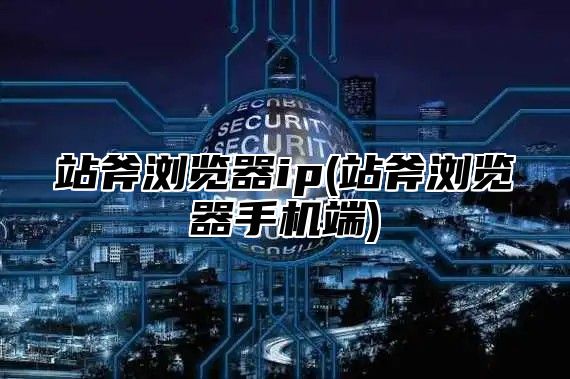 站斧浏览器ip(站斧浏览器手机端)
