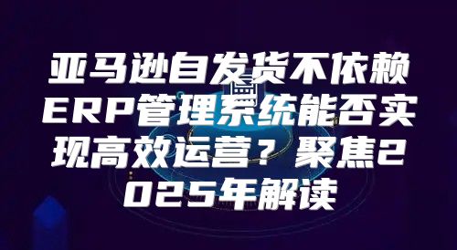 亚马逊自发货不依赖ERP管理系统能否实现高效运营？聚焦2025年解读