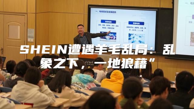 SHEIN遭遇羊毛乱局：乱象之下，一地狼藉”