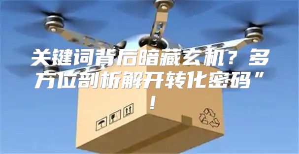 关键词背后暗藏玄机？多方位剖析解开转化密码”！