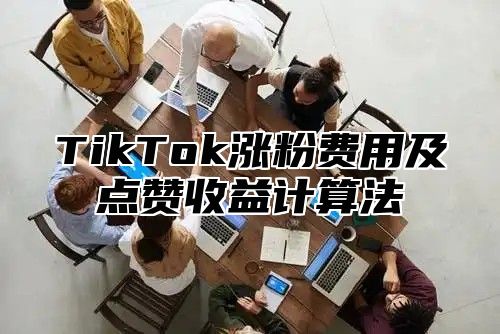 TikTok涨粉费用及点赞收益计算法