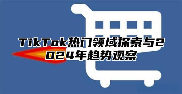 TikTok热门领域探索与2025年趋势观察