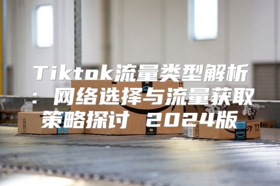 Tiktok流量类型解析：网络选择与流量获取策略探讨 2025版