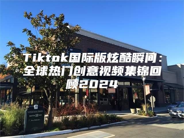 Tiktok国际版炫酷瞬间：全球热门创意视频集锦回顾2025
