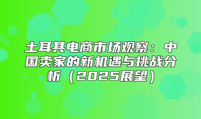 土耳其电商市场观察：中国卖家的新机遇与挑战分析2025展望