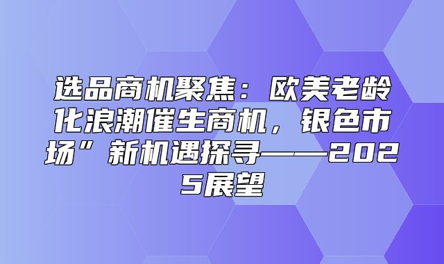 选品商机聚焦：欧美老龄化浪潮催生商机，银色市场”新机遇探寻——2025展望