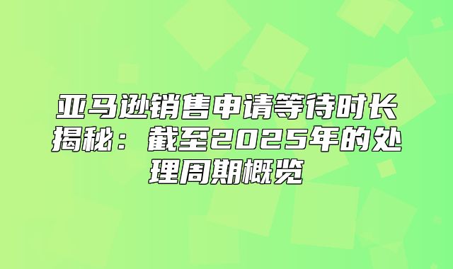 亚马逊销售申请等待时长揭秘：截至2025年的处理周期概览