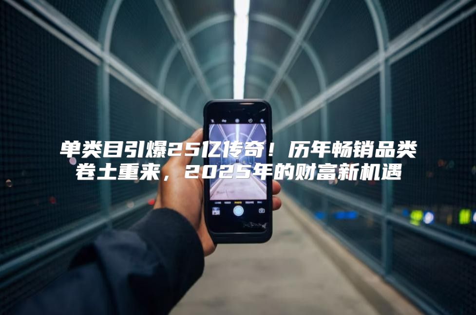 单类目引爆25亿传奇！历年畅销品类卷土重来，2025年的财富新机遇