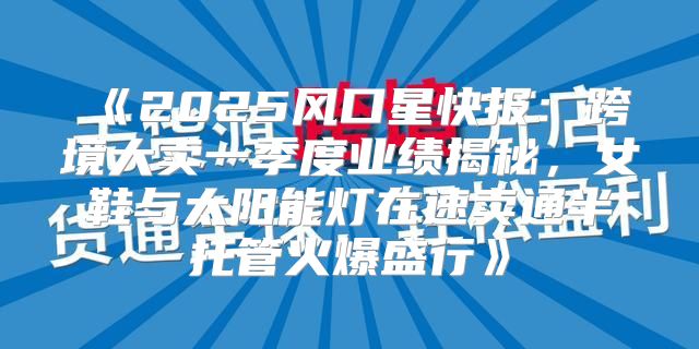 2025风口星快报：跨境大卖一季度业绩揭秘，女鞋与太阳能灯在速卖通半托管火爆盛行