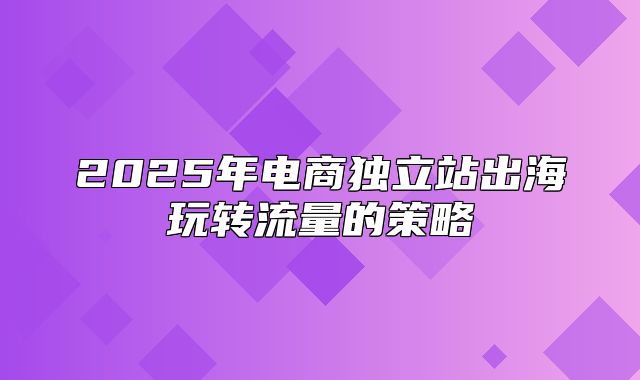 2025年电商独立站出海玩转流量的策略