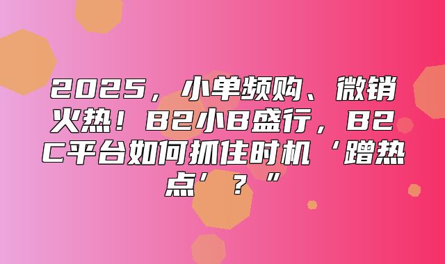 2025，小单频购、微销火热！B2小B盛行，B2C平台如何抓住时机‘蹭热点’？”
