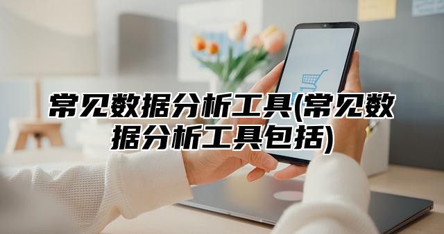 常见数据分析工具(常见数据分析工具包括)