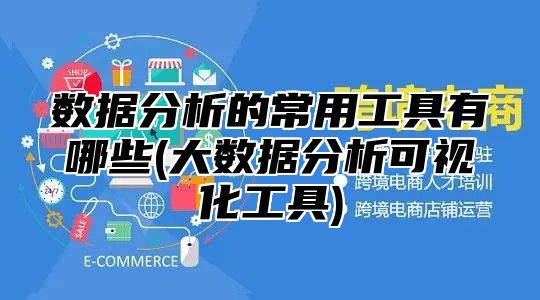数据分析的常用工具有哪些(大数据分析可视化工具)