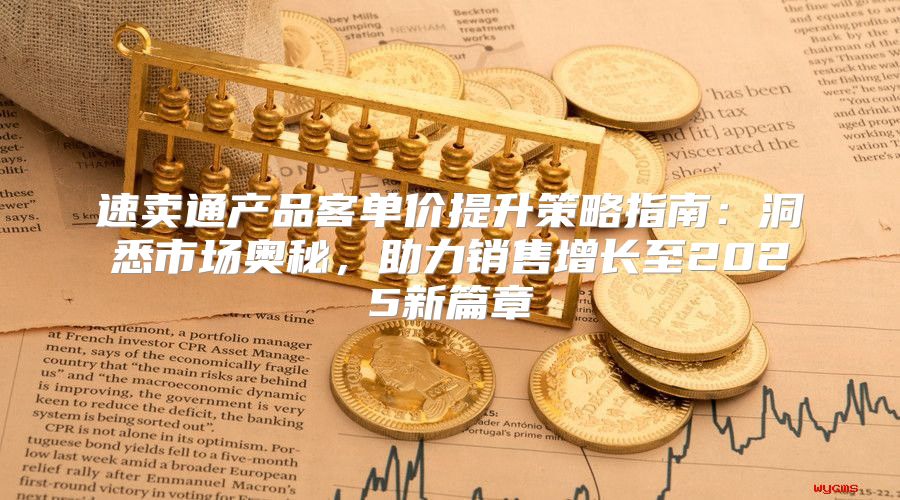 速卖通产品客单价提升策略指南：洞悉市场奥秘，助力销售增长至2025新篇章