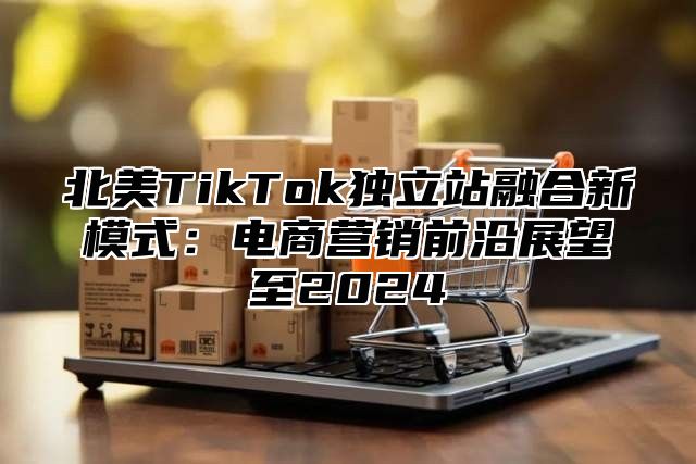 北美TikTok独立站融合新模式：电商营销前沿展望至2025