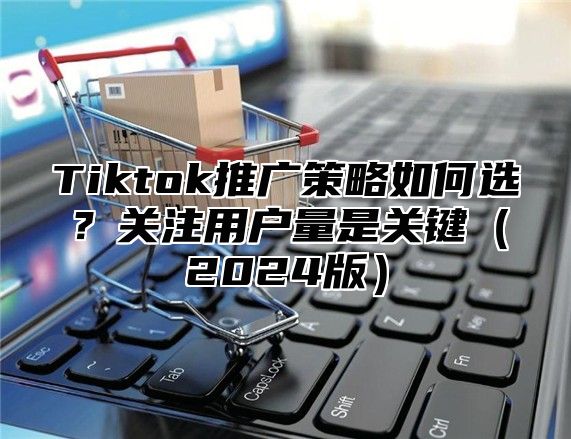 Tiktok推广策略如何选？关注用户量是关键2025版