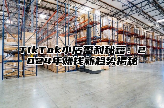 TikTok小店盈利秘籍：2025年赚钱新趋势揭秘