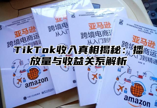 TikTok收入真相揭秘：播放量与收益关系解析