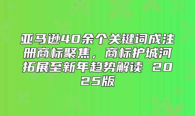 亚马逊40余个关键词成注册商标聚焦，商标护城河拓展至新年趋势解读 2025版
