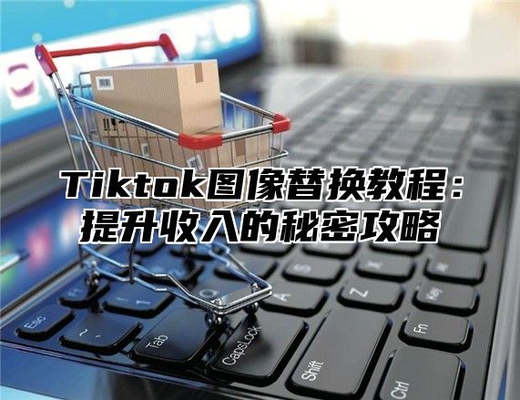 Tiktok图像替换教程：提升收入的秘密攻略