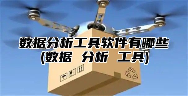 数据分析工具软件有哪些(数据 分析 工具)