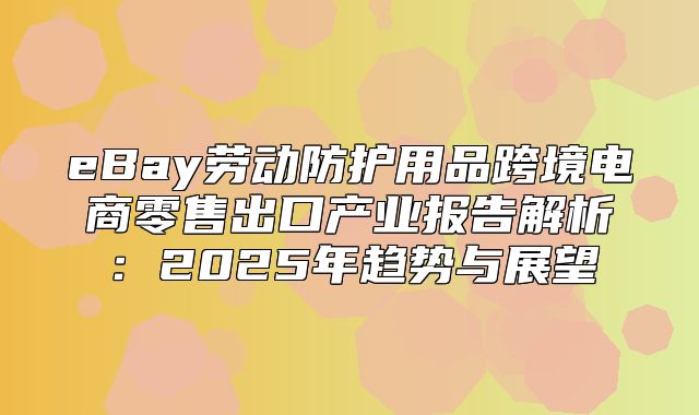 eBay劳动防护用品跨境电商零售出口产业报告解析：2025年趋势与展望